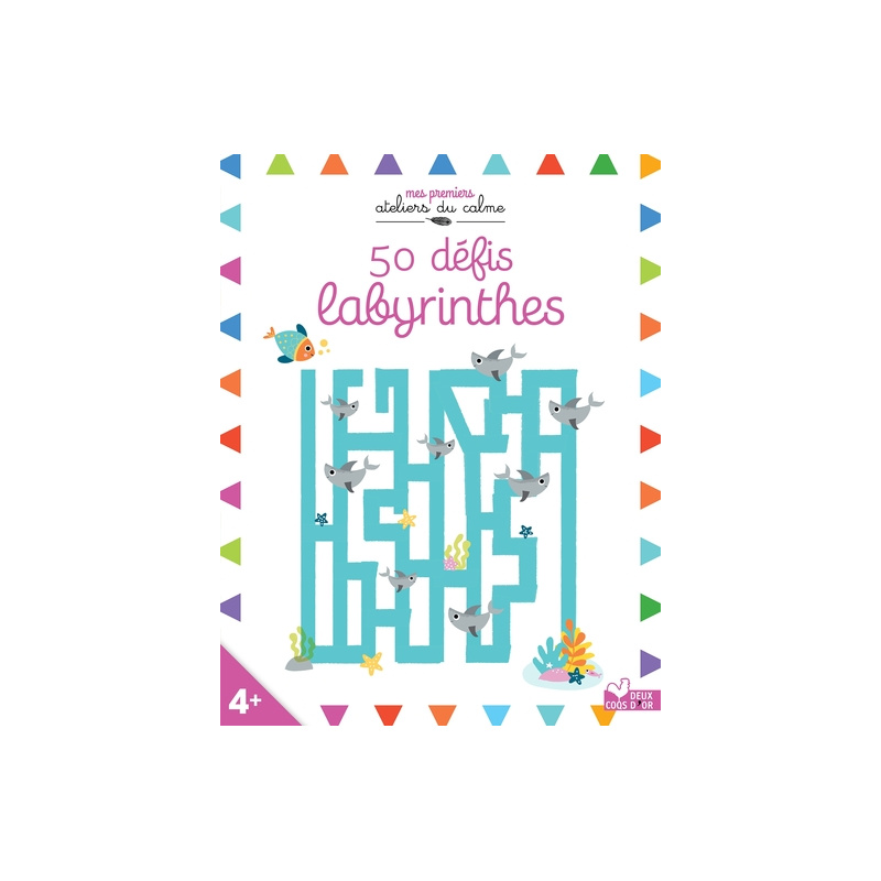 50 défis labyrinthes