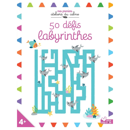 50 défis labyrinthes