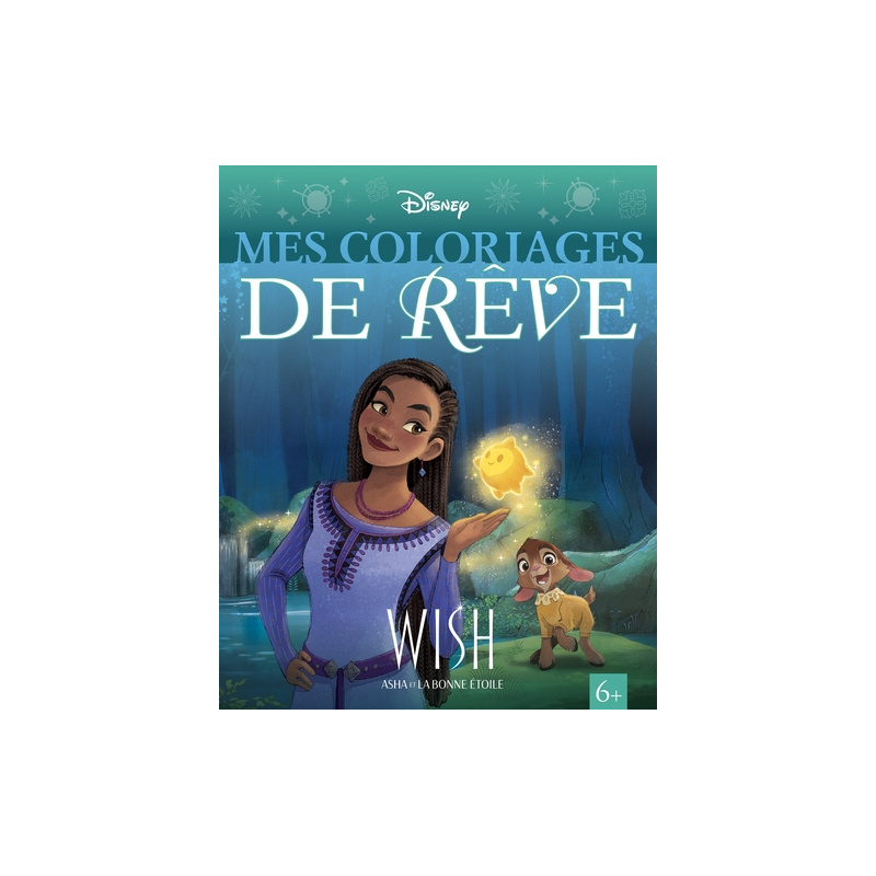 WISH, ASHA ET LA BONNE ÉTOILE