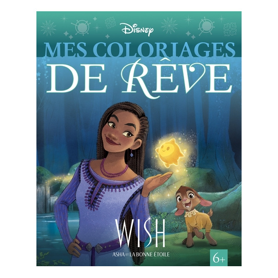 WISH, ASHA ET LA BONNE ÉTOILE