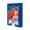 Coloriages mystères Disney Collector - Princesses