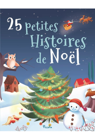 25 petites histoires de Noël