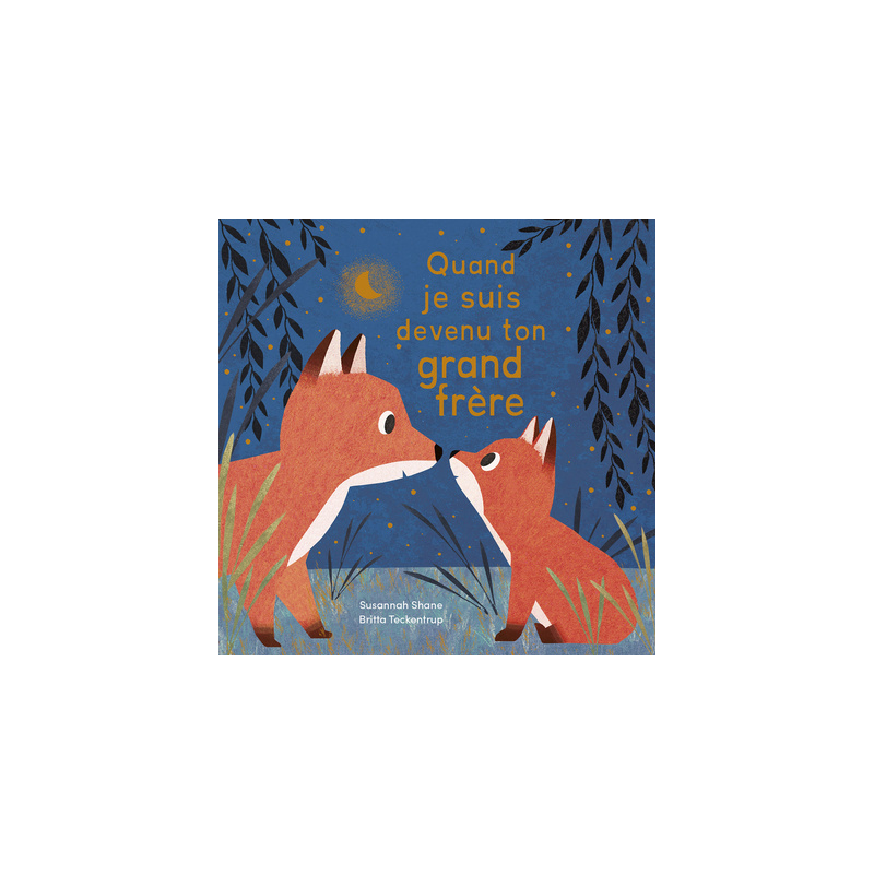 Quand je suis devenu ton grand frère