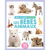 Mon imagier sonore des bébés animaux